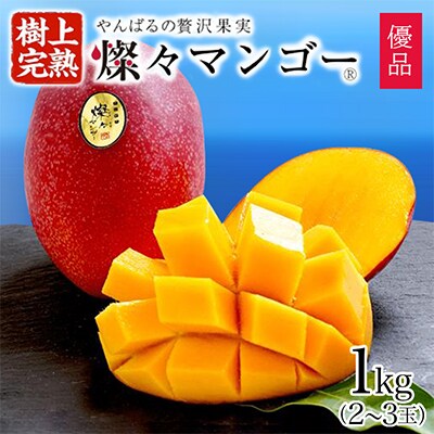 【2025年発送・優品】燦々マンゴー1.0kg(2～3玉)