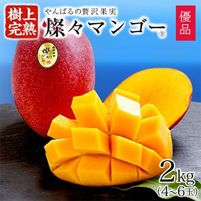 【2025年発送・優品】燦々マンゴー2.0kg(4～6玉)