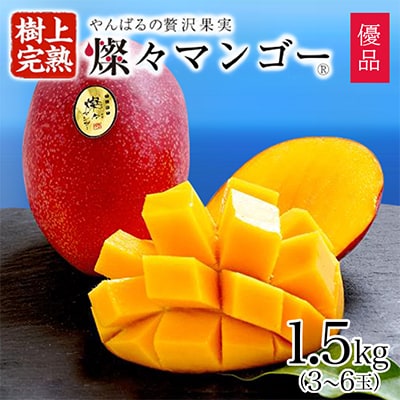 【2025年発送・優品】燦々マンゴー1.5kg(3～6玉)