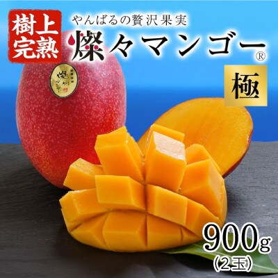 【2025年発送・最高級 極】燦々マンゴー900g(2玉)