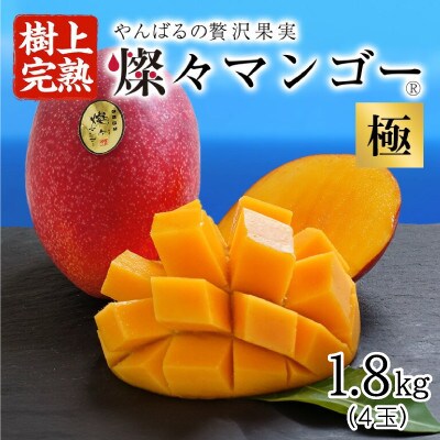 【2025年発送・最高級 極】燦々マンゴー1.8kg(4玉)