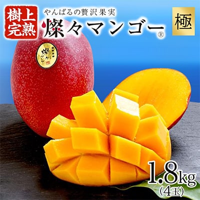 【2025年発送・最高級 極】燦々マンゴー1.8kg(4玉)