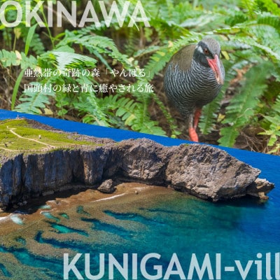 沖縄ツアー 沖縄本島最北やんばる国頭村 後から選べるWebカタログ旅行クーポン(150,000円分)