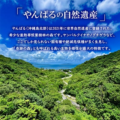 広葉樹 国頭産イタジイの薪 約5kg(1束8枚)