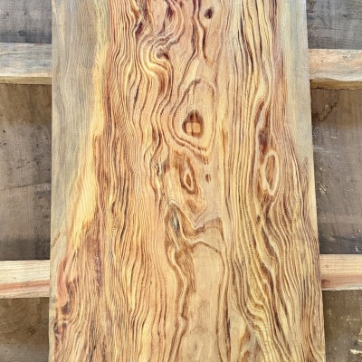 希少品種「蔡温松」一枚板(幅約70cm×長さ約120cm×厚み約7cm)天然木