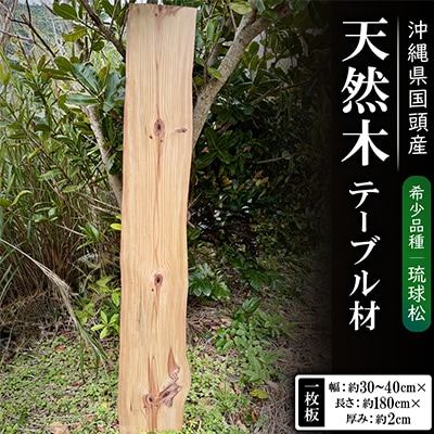 希少品種「琉球松」一枚板(幅約30～40cm×長さ約180cm×厚み約2cm)天然木