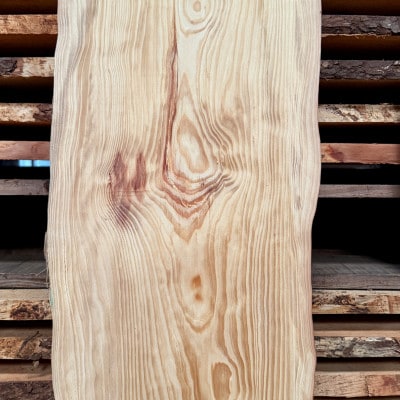 希少品種「琉球松」一枚板(幅約30～40cm×長さ約180cm×厚み約2cm)天然木