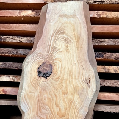 希少品種「琉球松」一枚板(幅約30～40cm×長さ約180cm×厚み約2cm)天然木