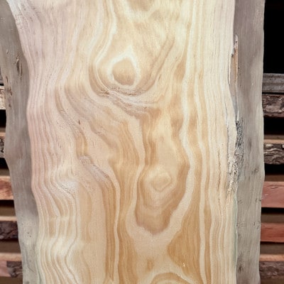 希少品種「琉球松」一枚板(幅約30～40cm×長さ約180cm×厚み約2cm)天然木