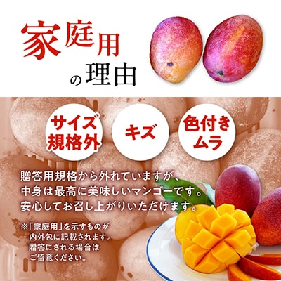 【2027年7月から順次発送・家庭用】燦々マンゴー1.5kg(3～6玉)