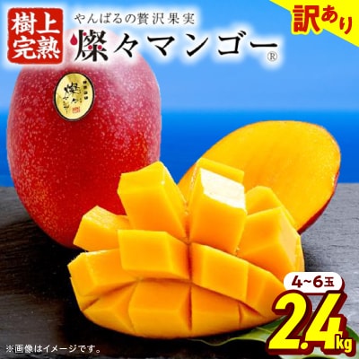 【2026年7月から順次発送・訳あり】燦々マンゴー2.4kg(4～6玉)
