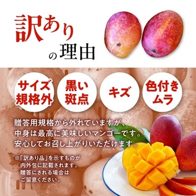 【2026年7月から順次発送・訳あり】燦々マンゴー2.4kg(4～6玉)
