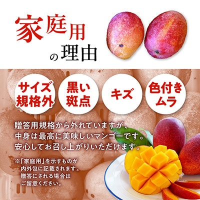 【2027年7月から順次発送・家庭用】燦々マンゴー2.4kg(4～7玉)