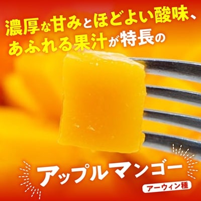 【2026年7月から順次発送・優品】燦々マンゴー1.0kg(2～3玉)
