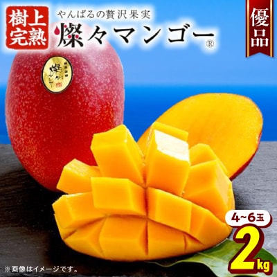 【2026年7月から順次発送・優品】燦々マンゴー2.0kg(4～6玉)