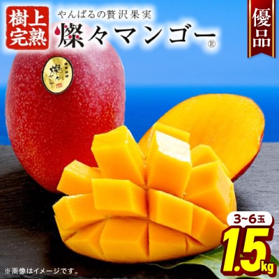 【2026年7月から順次発送・優品】燦々マンゴー1.5kg(3～6玉)