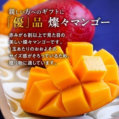 【2026年7月から順次発送・優品】燦々マンゴー1.5kg(3～6玉)