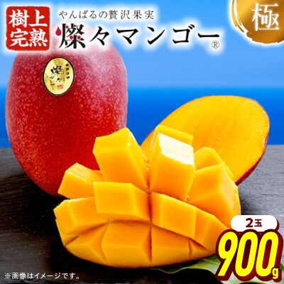 【2026年7月から順次発送・最高級ランク極】燦々マンゴー900g(2玉)
