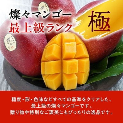 【2026年7月から順次発送・最高級ランク極】燦々マンゴー900g(2玉)