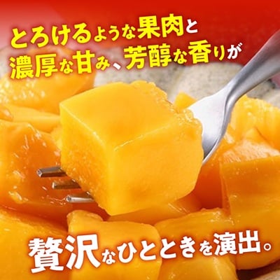 【2026年7月から順次発送・最高級ランク極】燦々マンゴー900g(2玉)
