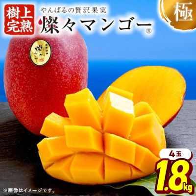 【2026年7月から順次発送・最高級ランク極】燦々マンゴー1.8kg(4玉)