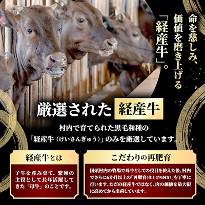 やんばるの自然が育んだ「黒毛和牛 経産牛」焼肉用 合計600g(300g×2パック)