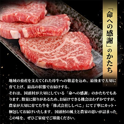 やんばるの自然が育んだ「黒毛和牛 経産牛」焼肉用 合計600g(300g×2パック)