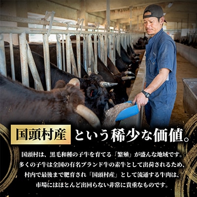 やんばるの自然が育んだ「黒毛和牛 経産牛」切り落とし 合計1kg(500g×2パック)