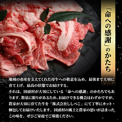 やんばるの自然が育んだ「黒毛和牛 経産牛」切り落とし 合計1kg(500g×2パック)