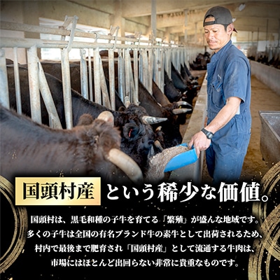 やんばるの自然が育んだ「黒毛和牛 経産牛」サーロイン 合計600g(200g×3パック)