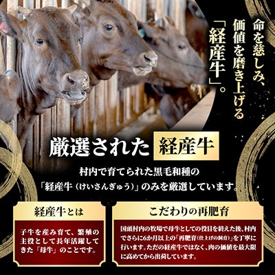 やんばるの自然が育んだ「黒毛和牛 経産牛」ハンバーグ 100g×5個