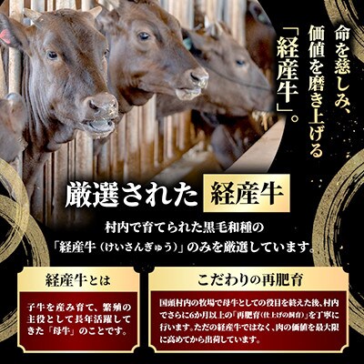 やんばるの自然が育んだ「黒毛和牛 経産牛」ハンバーグ 100g×10個