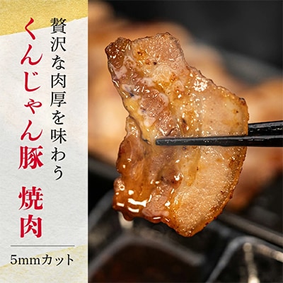 【ビール特産品セット】オリオン ザ・ドラフト&くんじゃん豚の焼肉【複数個口で配送】