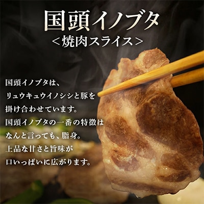 【ビール特産品セット】オリオン ザ・ドラフト12本&旨み凝縮!国頭イノブタ【複数個口で配送】