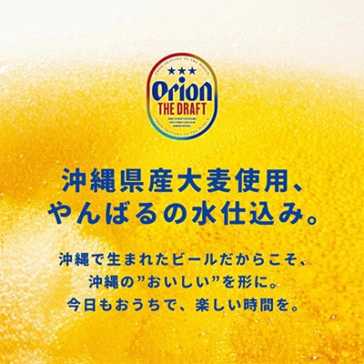 【ビール特産品セット】オリオン ザ・ドラフト&国頭村の島らっきょう【複数個口で配送】