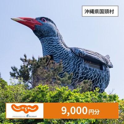 【じゃらんふるさと納税クーポン】 沖縄県国頭村でつかえる9,000円 クーポン