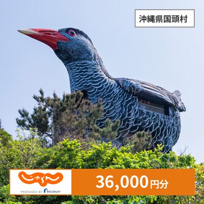 【じゃらんふるさと納税クーポン】 沖縄県国頭村でつかえる36,000円 クーポン