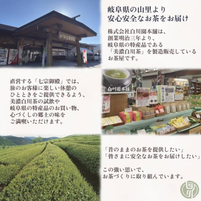 白川茶ペットボトル500ml 24本入り