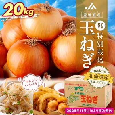 R7年産先行受付 玉ねぎ 20kg 特別栽培 | 北海道津別町  | ふるさと納税のお礼品