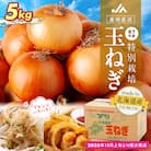 R7年産先行受付 玉ねぎ 5kg 特別栽培 | 北海道津別町