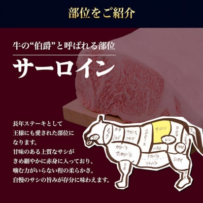 松阪牛 サーロイン ステーキ (200g×2)[53720060]