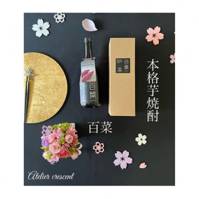 [53720032]本格芋焼酎 百菜 720ml 1本