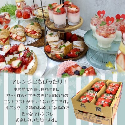 三重県産いちご 「かおり野」 8P[53720155]