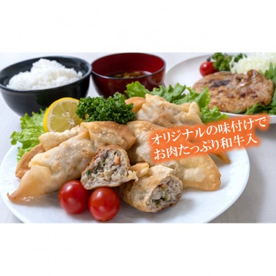 津ぎょうざ 12個[53720154]