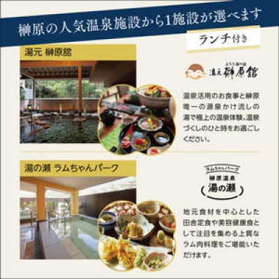 [53720182]くつろぎ温泉 七栗脳ドック(榊原温泉での入浴・食事付き)