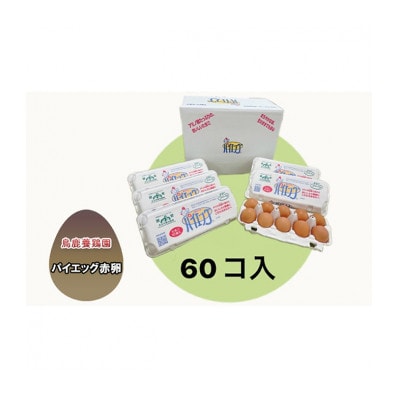 [53720299]パイエッグ赤卵60コ入り