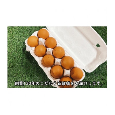 [53720299]パイエッグ赤卵60コ入り