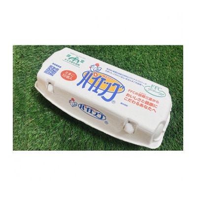 [53720299]パイエッグ赤卵60コ入り