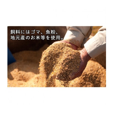 [53720299]パイエッグ赤卵60コ入り