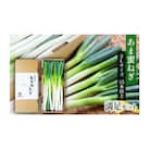 あま蜜ねぎ 満足セット【長ネギ】[53720334]